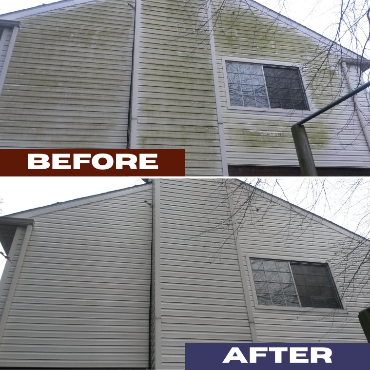 vinyl siding with algae/mildew before and after the wash